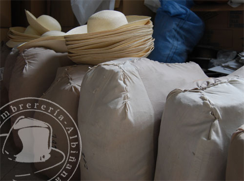 panamas-antes-del-planchado Sombreros Panamá antes del planchado