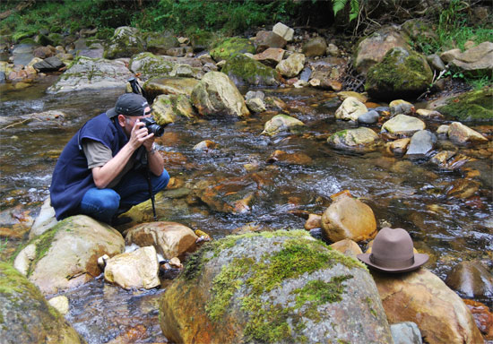 Fotografiando Sombreros