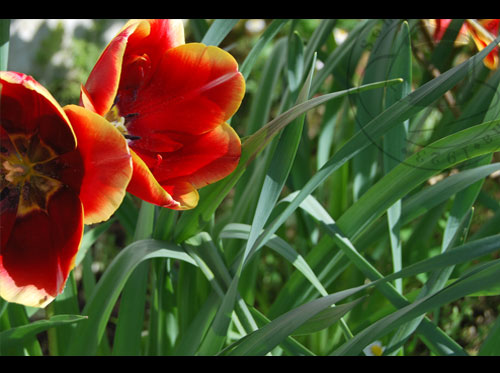 Primavera en Sombrerería Albiñana